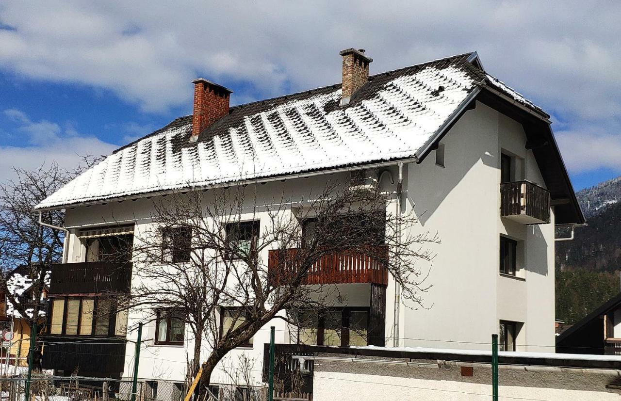 Cozy Nest In The Heart Of Kranjska Gora Lejlighed Eksteriør billede